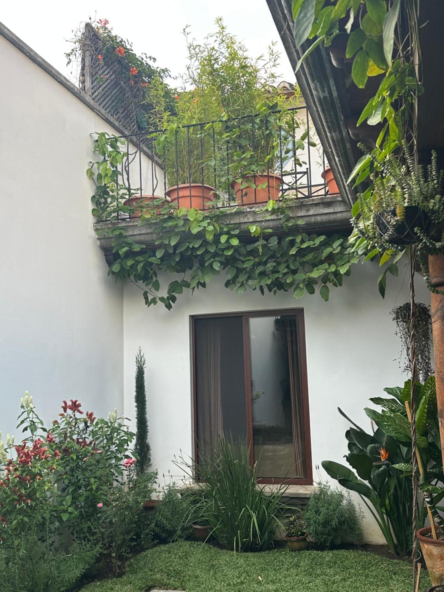 Casa Elena Panzió Antigua Kültér fotó