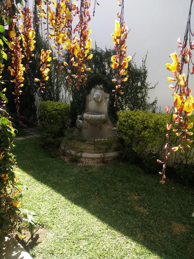 Casa Elena Panzió Antigua Kültér fotó